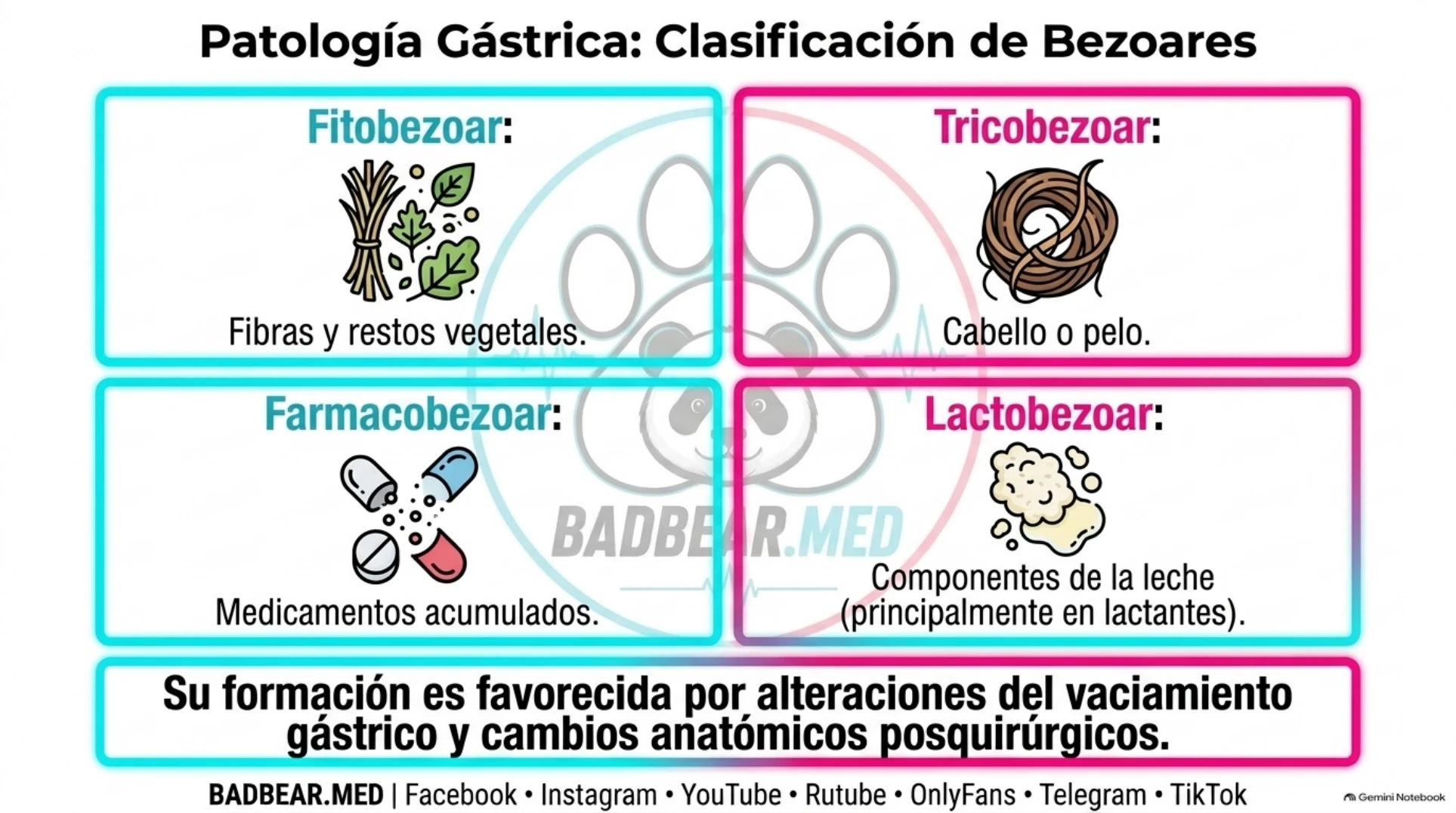 Cuatro tipos de bezoares: vegetales, pelo, medicamentos y leche