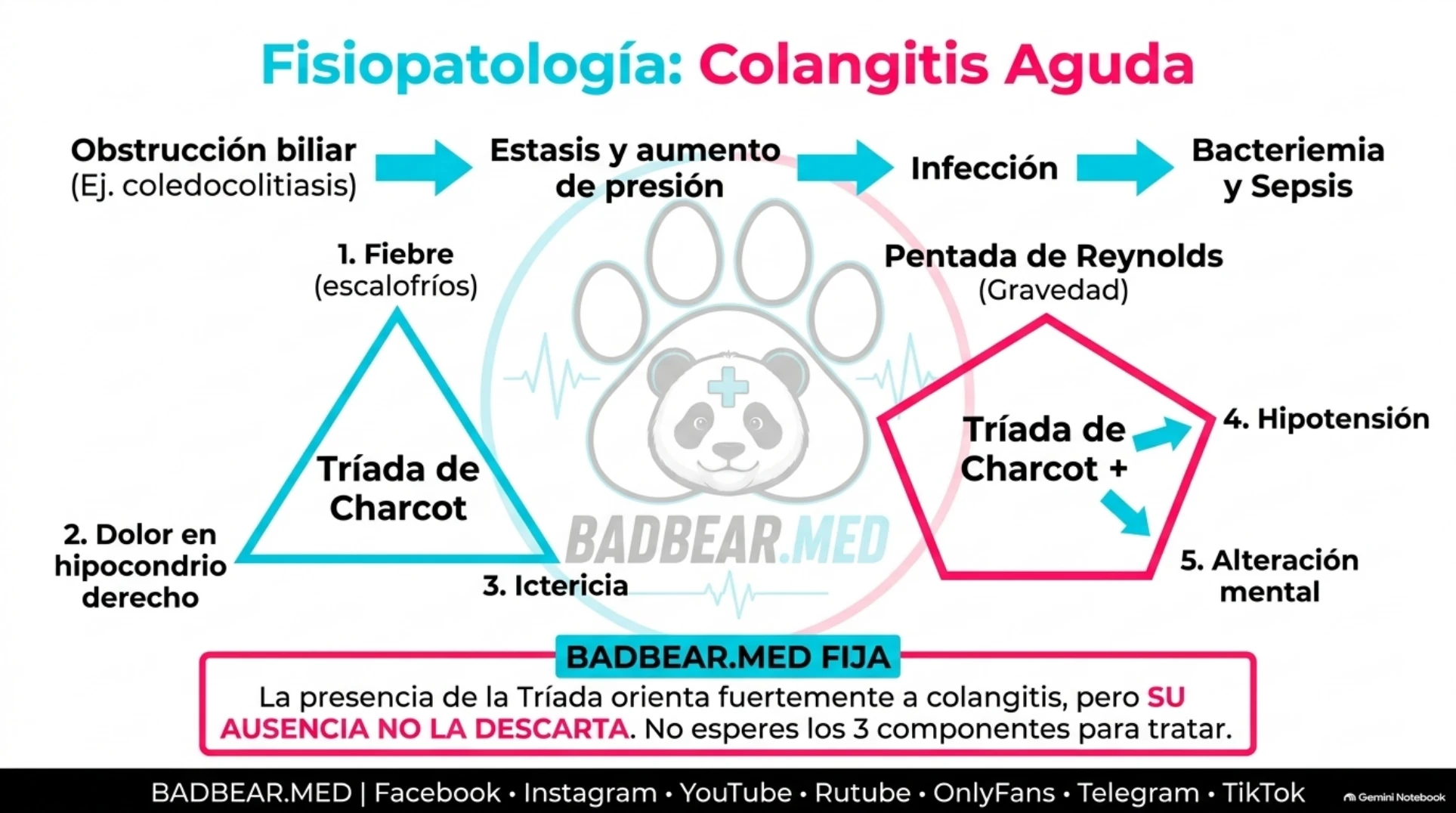 Cadena de obstrucción biliar, infección y manifestaciones de Charcot y Reynolds
