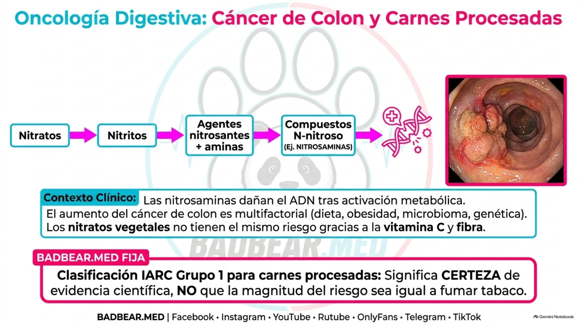 Nitratos, nitritos, agentes nitrosantes y compuestos N-nitroso con riesgo de daño genético